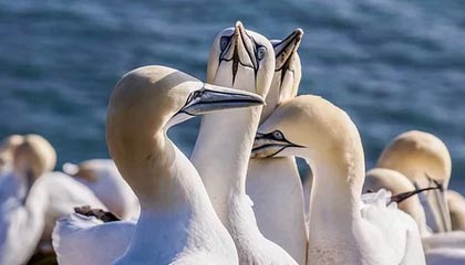 开云体育博彩-巴黎圣日耳曼战胜里昂在法甲排名继续领先，巴黎圣日耳曼对阵里昂